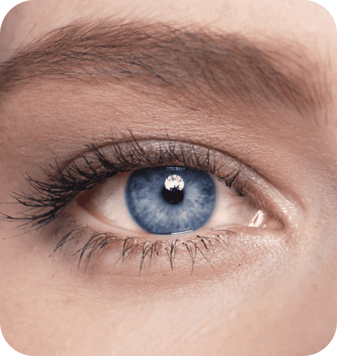 Close-up of an eye